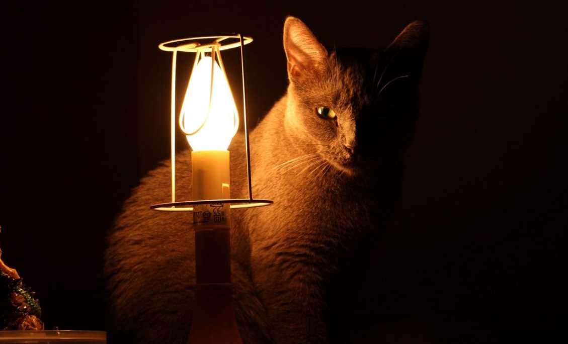 Про це повідомляється на офіційному сайті компанії "Чернівціобленерго"